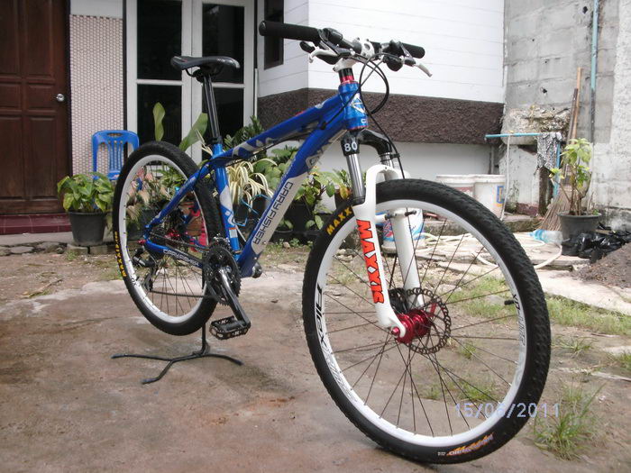 03.jpg
