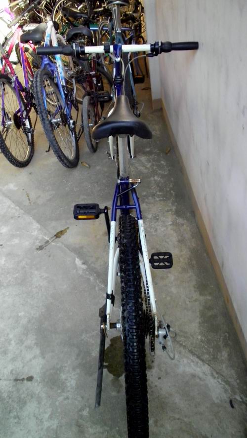 SANY2673.JPG