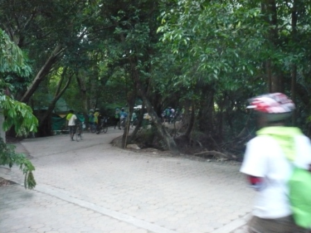 P1150527.JPG