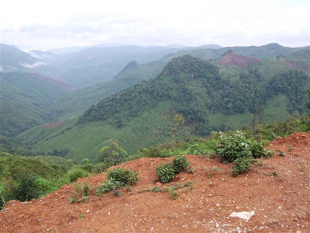 DSCF0535.JPG