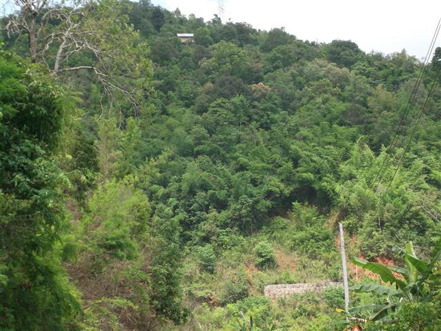 DSCF0550.JPG