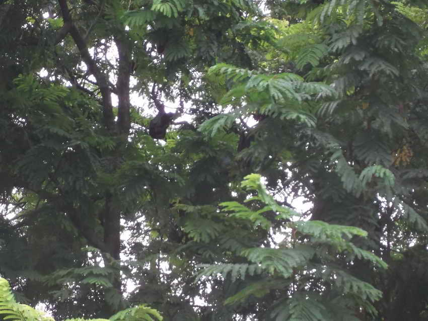 DSCF0845.JPG