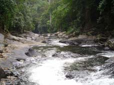 SL703879.jpg