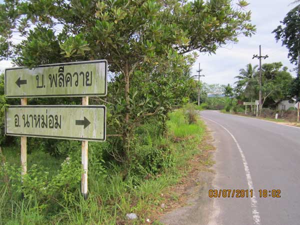 IMG_0168.jpg