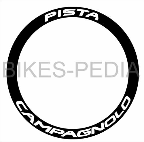 CAM PIS copy.jpg