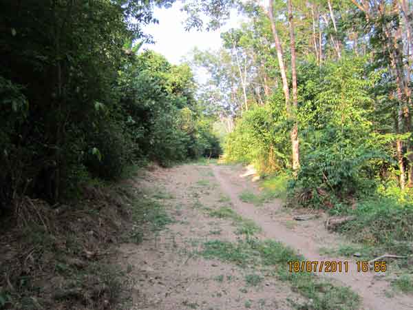 IMG_0706.jpg