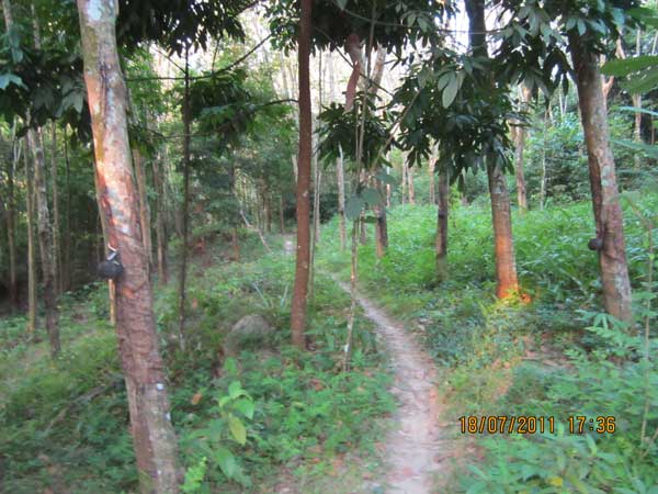 IMG_0751.jpg