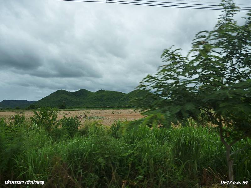 P1030236.JPG