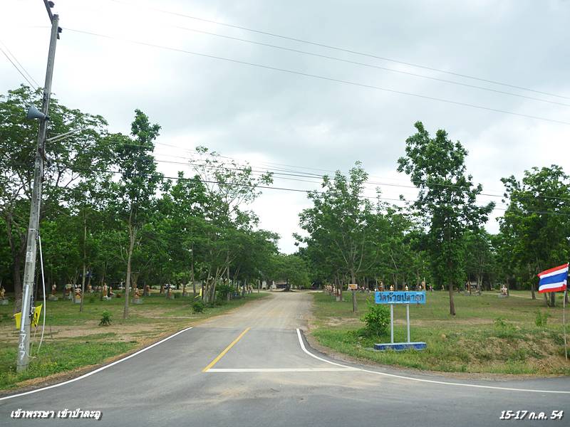 P1030353.JPG