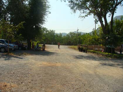 DSC08388.jpg