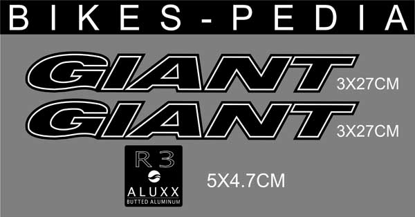 giant rs copy.jpg