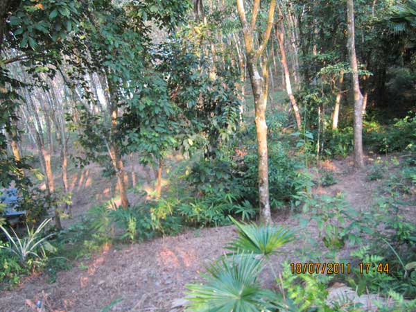 IMG_0762.jpg