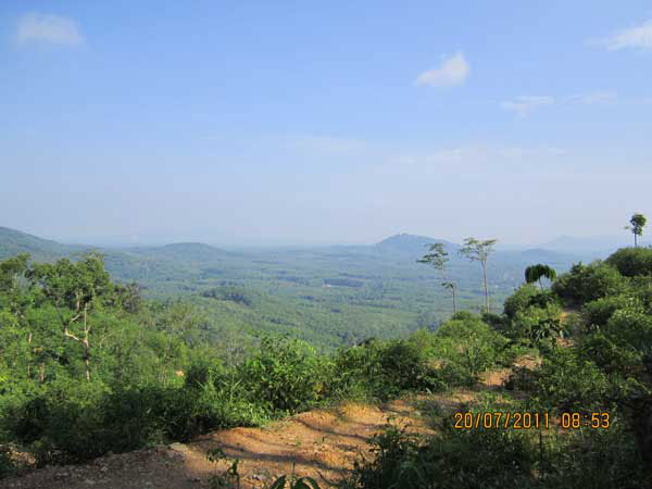 IMG_0850.jpg