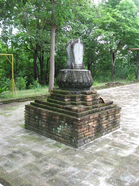 IMG_1968 (Medium) (Small).JPG