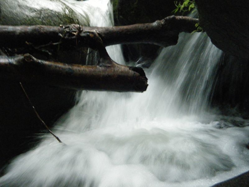DSCF3030 [800x600].JPG