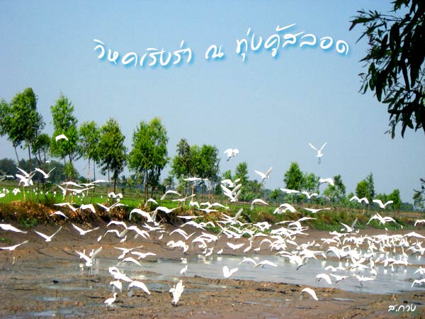IMG_0001.jpg
