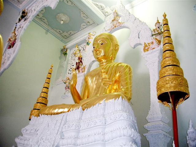 DSCF1998 (Small) (Small).JPG