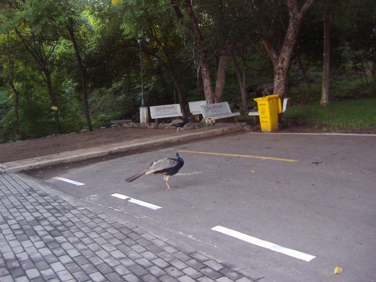 รูปที่8.JPG