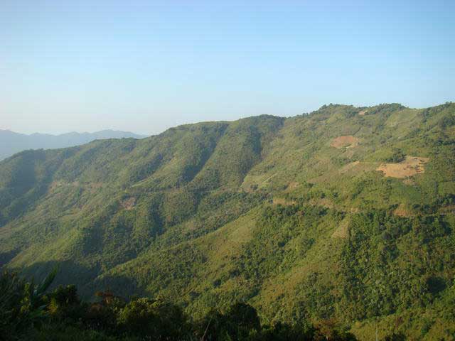 DSC08428.jpg
