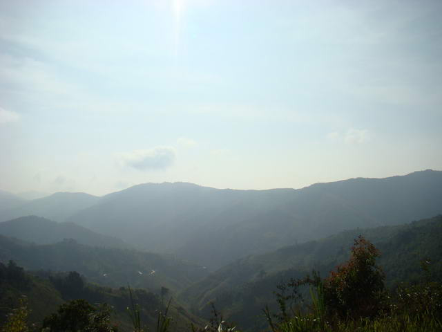DSC08434.jpg