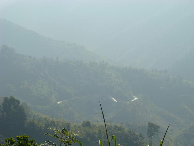 DSC08435.jpg