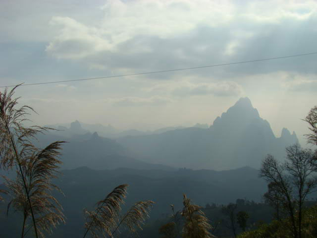 DSC08494.jpg