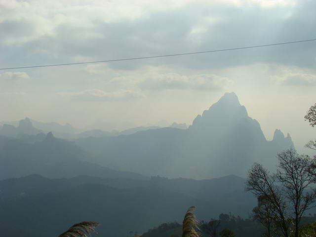DSC08497.jpg