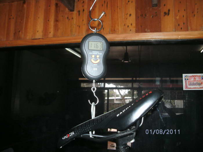 SANY0377.jpg
