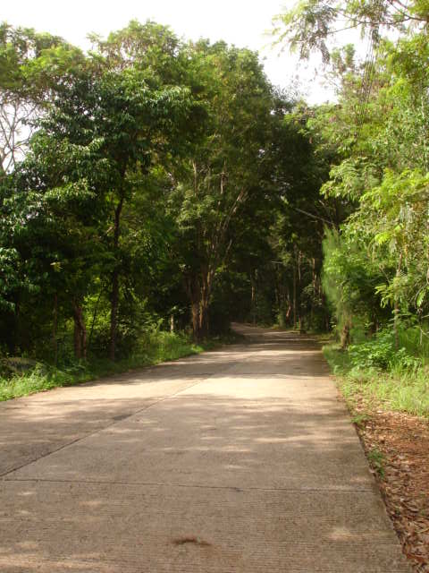 DSC04552.JPG