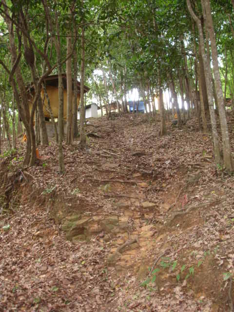 DSC04526.JPG