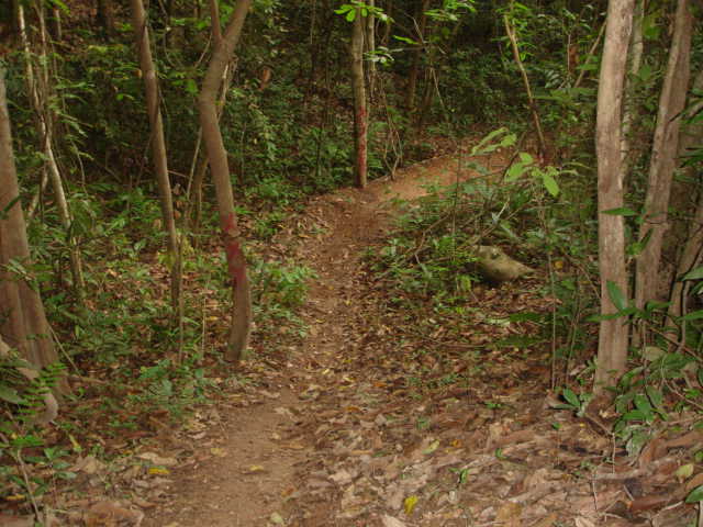 DSC04490.JPG