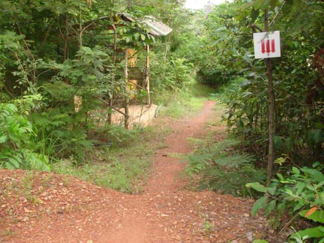 DSC04503.JPG