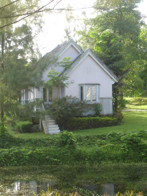 DSC05199.JPG