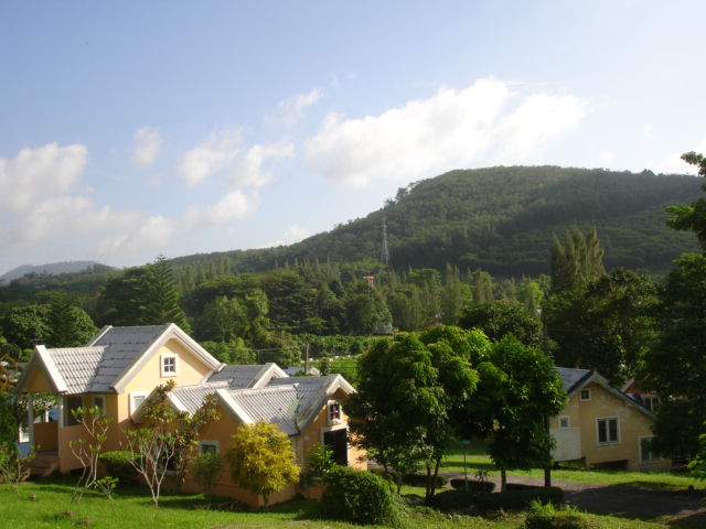 DSC05132.JPG