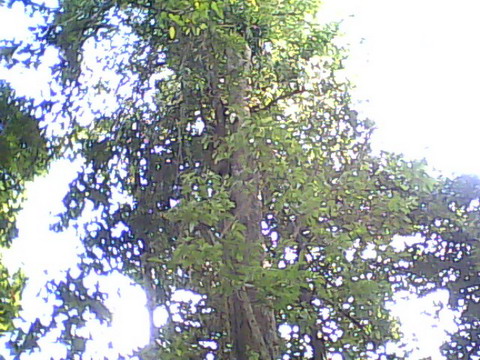 10-03-21-153500_resize.jpg