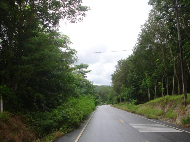 DSC04326.JPG
