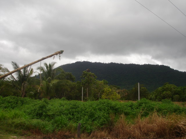 DSC04291.JPG