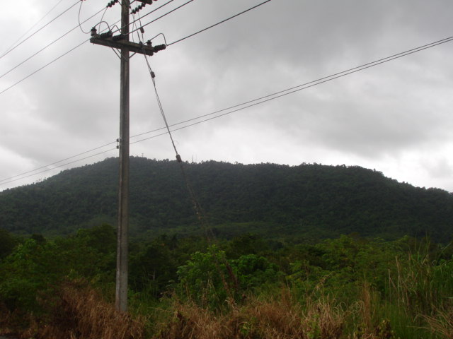 DSC04286.JPG
