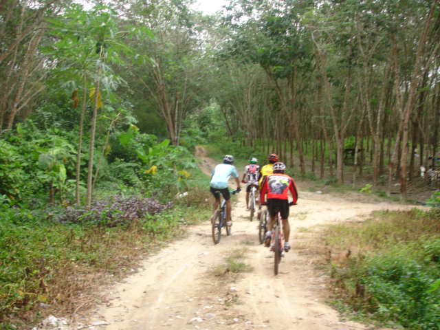 DSC04285.JPG