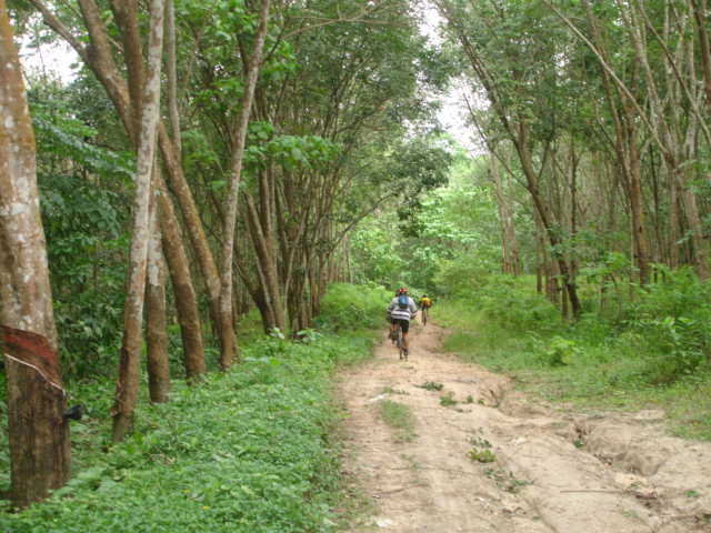 DSC04282.JPG