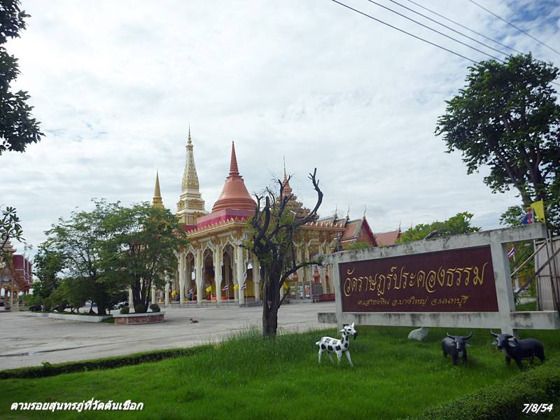 P1030713.JPG