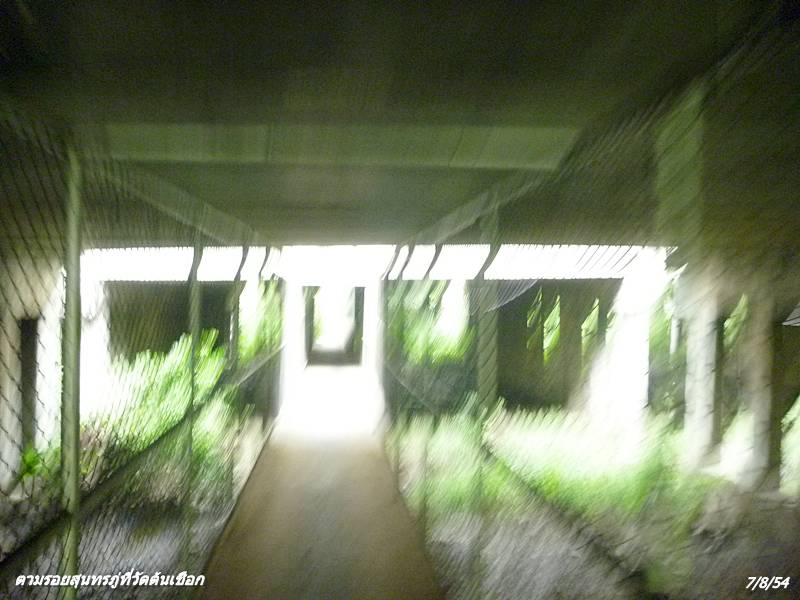 P1030727.JPG