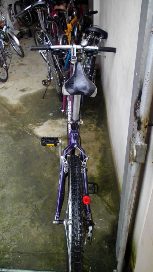 SANY2802.JPG