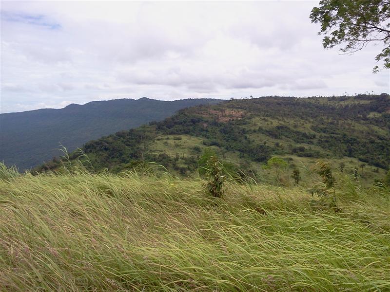 รูป​ถ่0198 (Medium).jpg