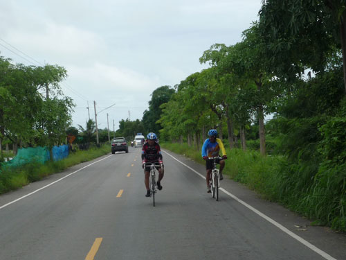 P1070568-1.jpg