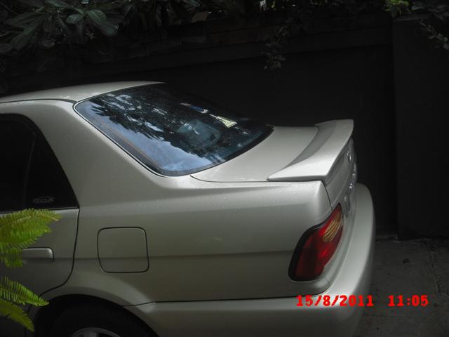 CIMG8659 (Small).JPG