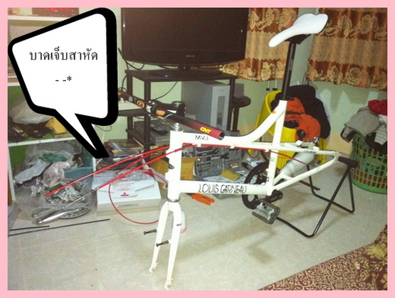 มินิ.jpg