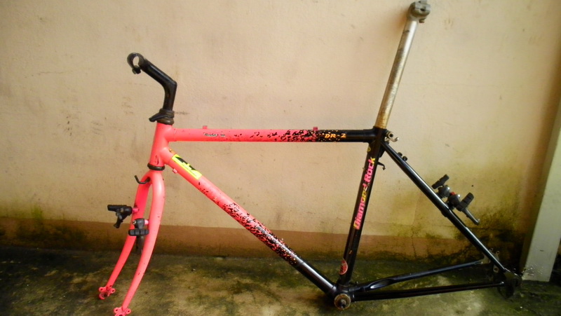 SANY2804.jpg