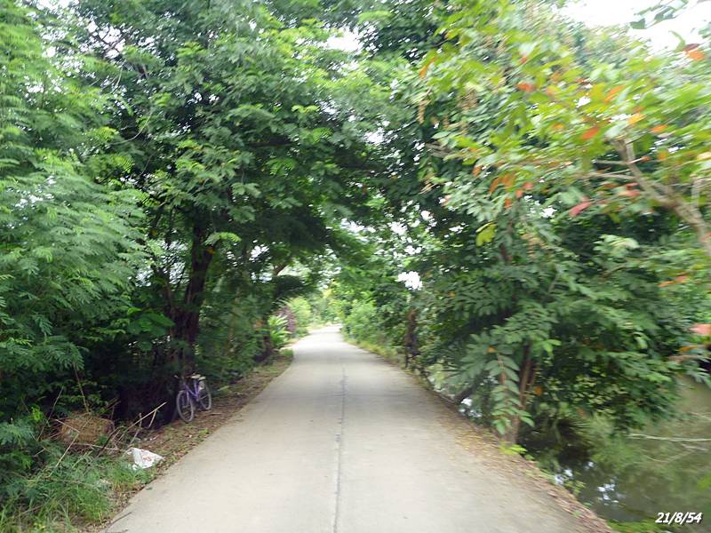 P1040276.JPG