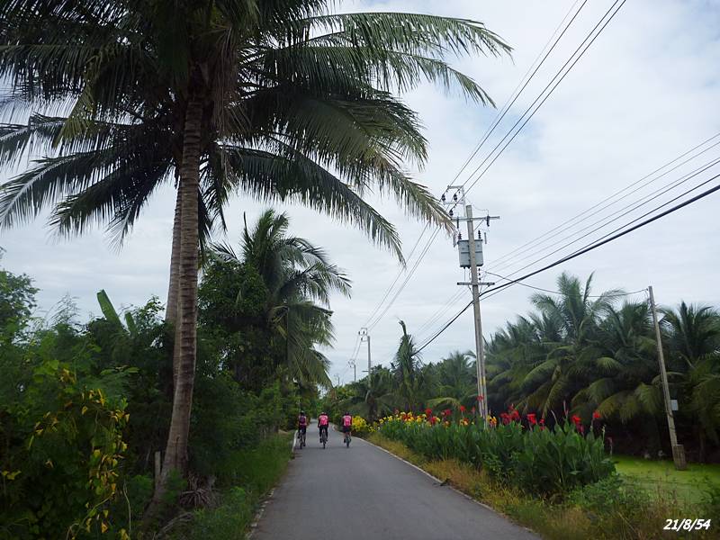P1040296.JPG